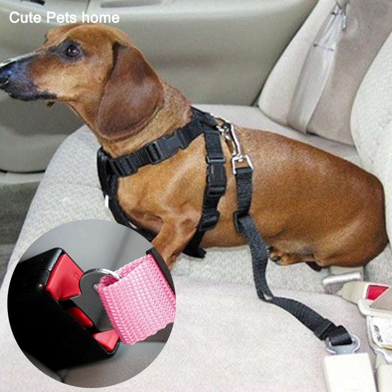 Pet Car Safety Belt
