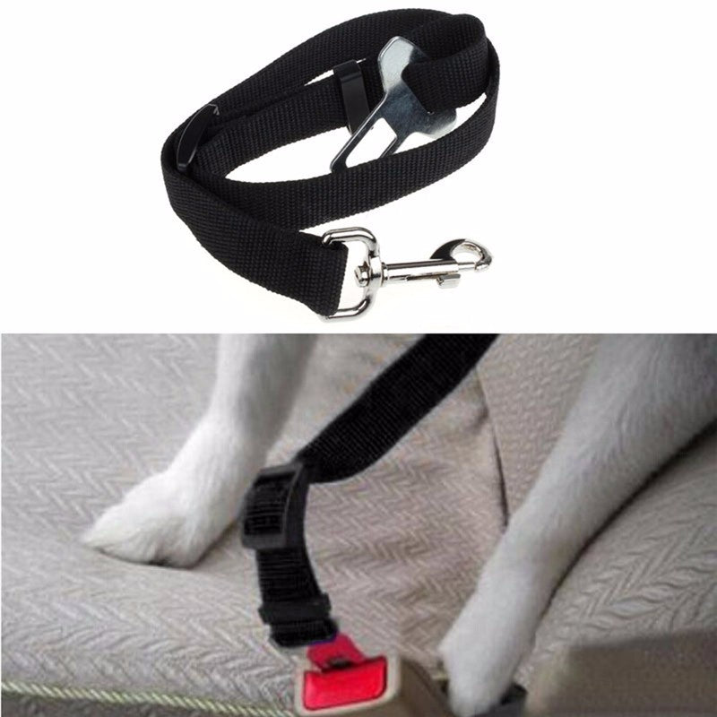 Pet Car Safety Belt